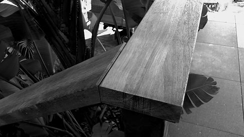 20210120_193532_edited_edited_edited.jpg
