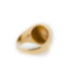 Masonic Ring back view