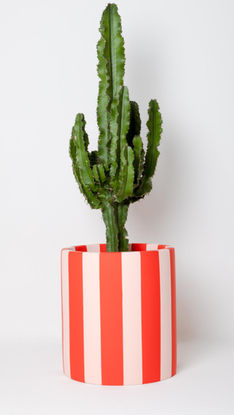 Large red and pink striped plant pot