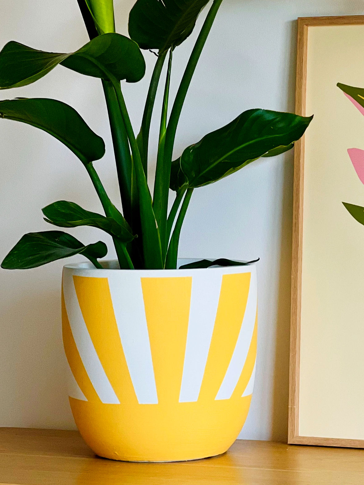 Deco Sun
