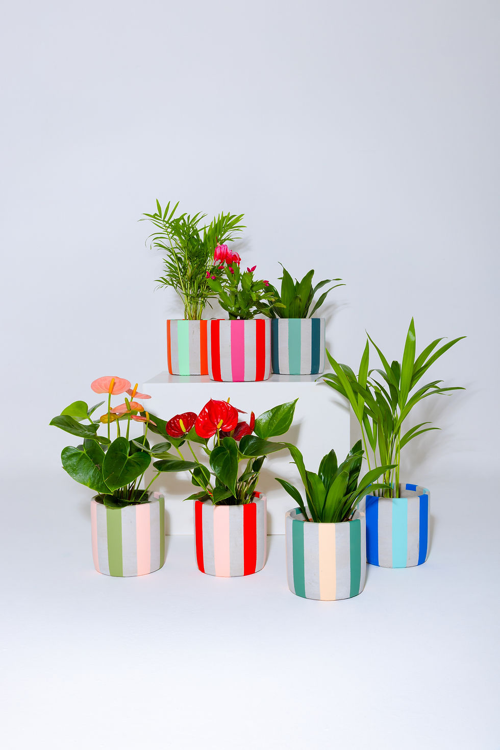 Thumbnail: Concrete Stripe