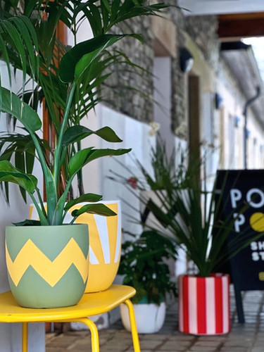  Studyo ピエールプランター ヨーク イエロー 鉢 Ziggy in olive green and yellow | Pow Pots