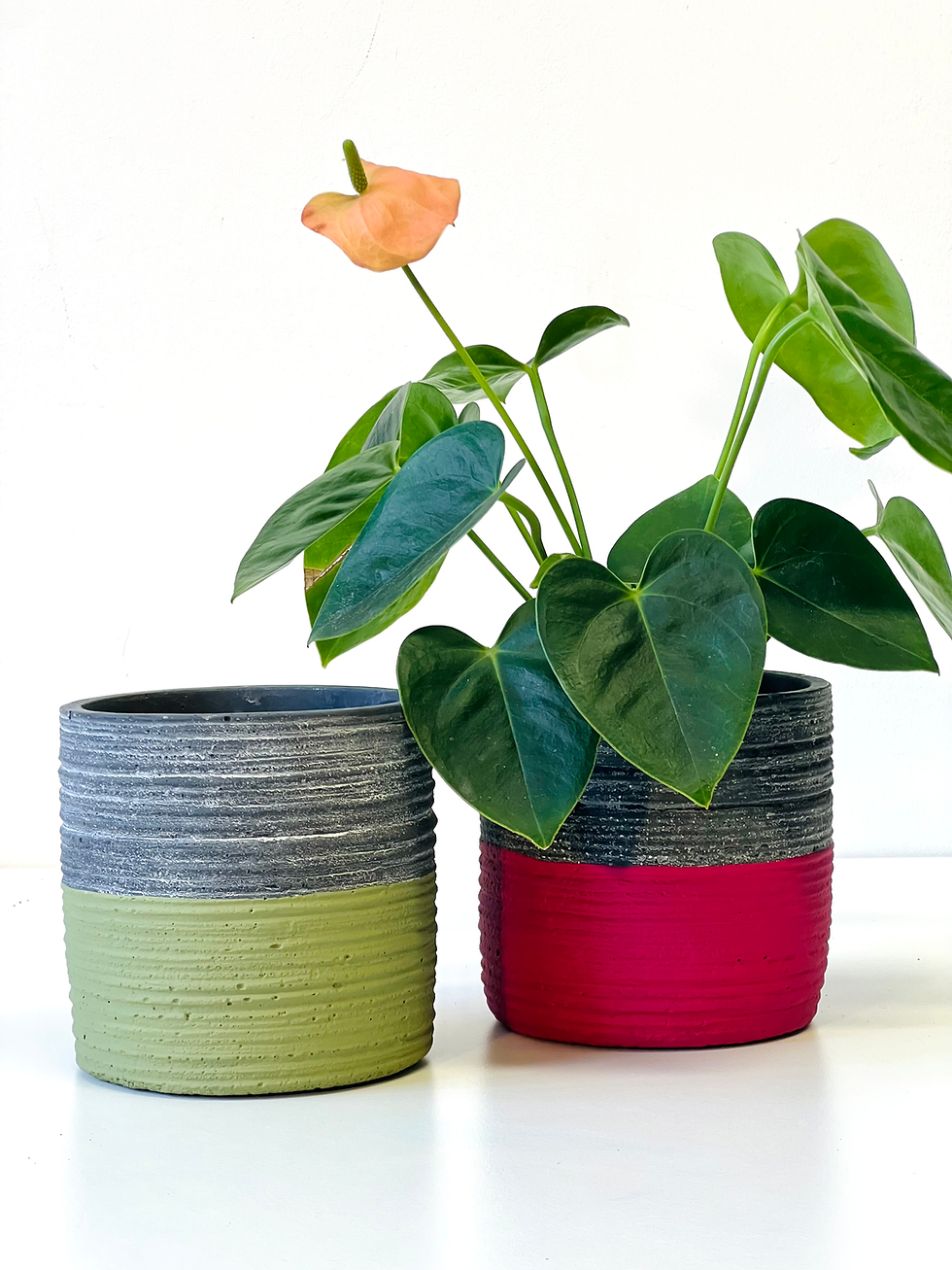 Thumbnail: Set of 4 POP pots