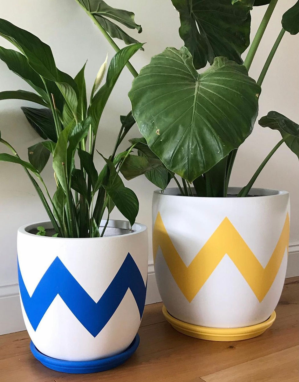 Ziggy plant pot blue yellow