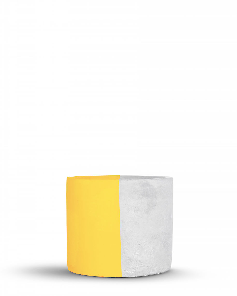 Thumbnail: Concrete Half and Half