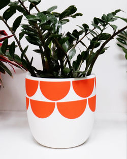 Sunny Pow Pot in salsa orange