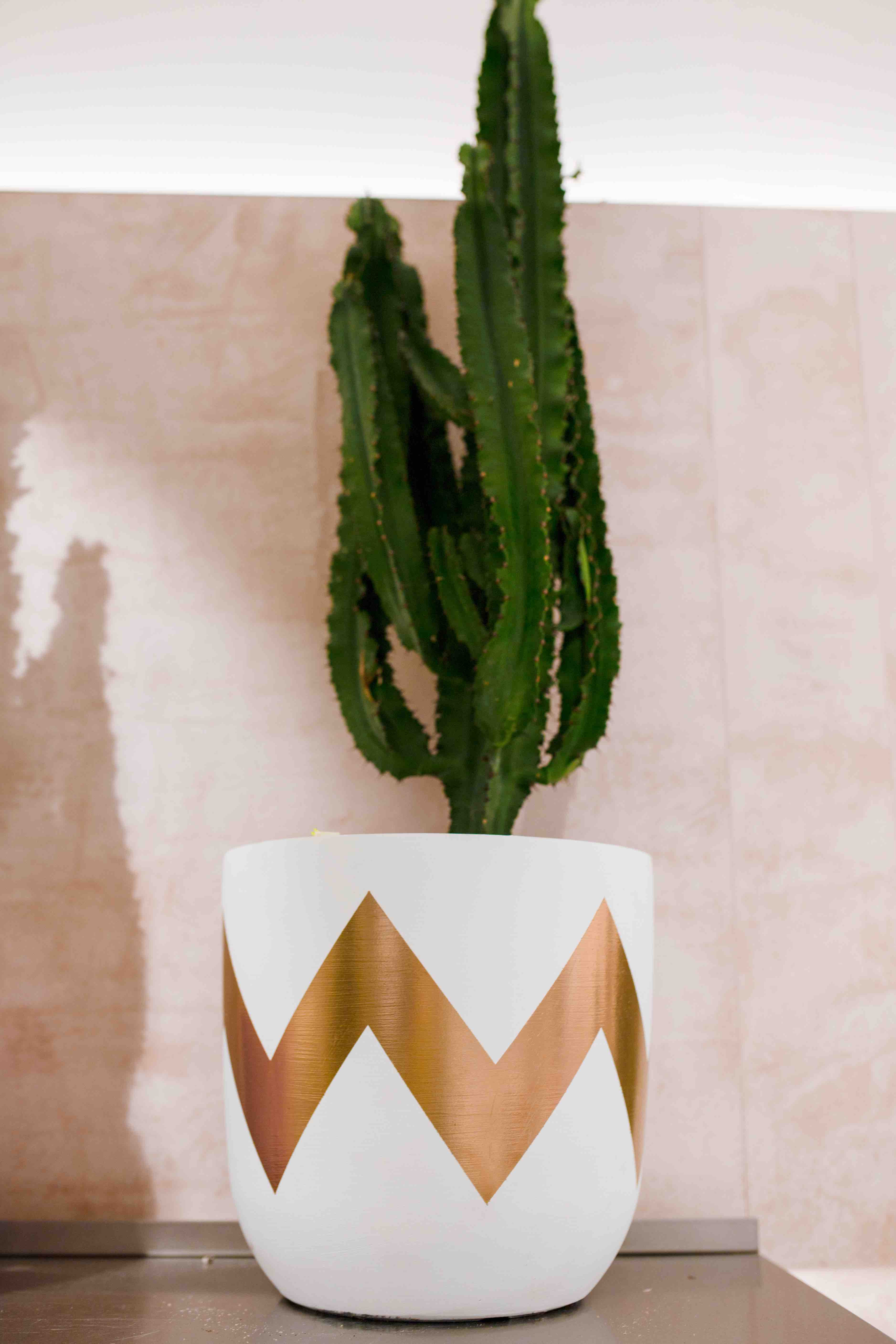 Frog Selfridges Pow Pots