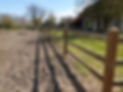 20200331_132614.jpg