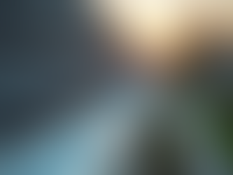 Essential Gutter Inspections for Florida Homeowners: Safeguarding Your Home Before Hurricane Season