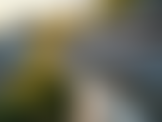 Essential Hurricane Preparedness Tips for Bradenton Residents from aMax Seamless Gutters