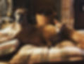 IMG_1896.jpeg