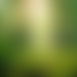 Justiça Climática: O Futuro da Evolução Humana