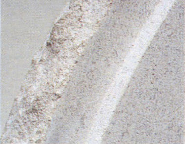 Edge Rebated