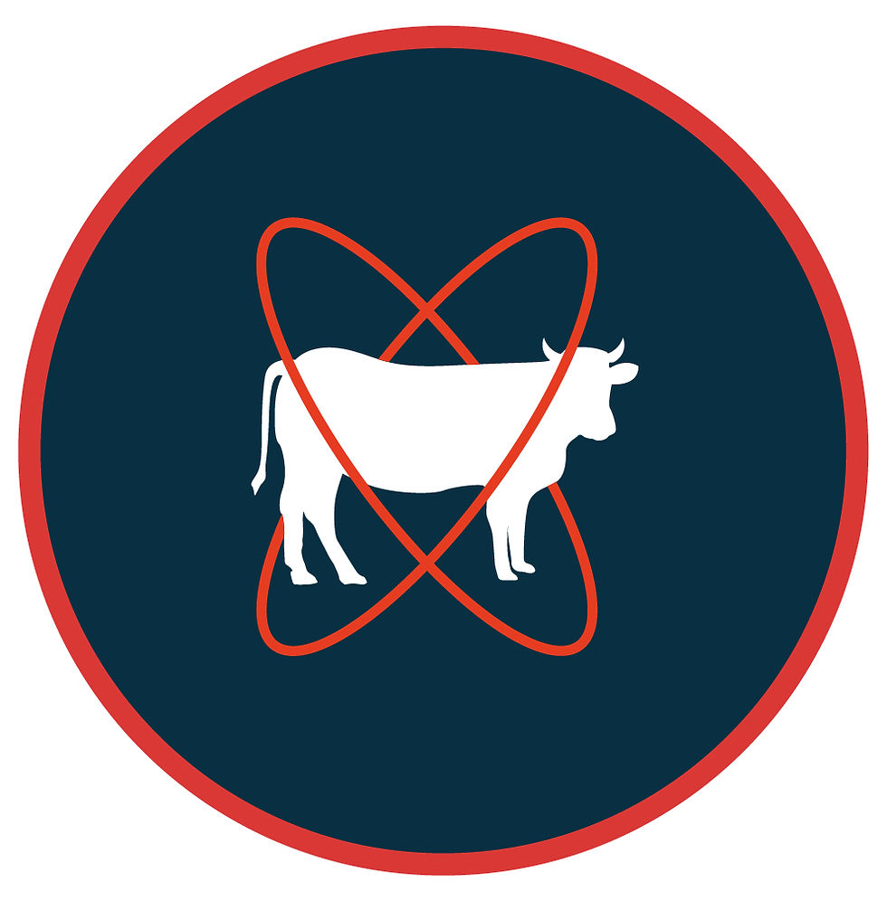 Icon-vaca_GBM-07