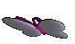 butterfly gif