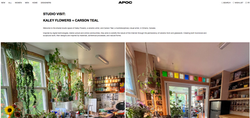 APOC Store
