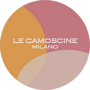 Logo Le Camoscine