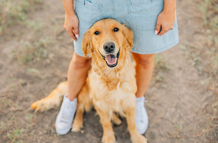 Goldens-460.jpg