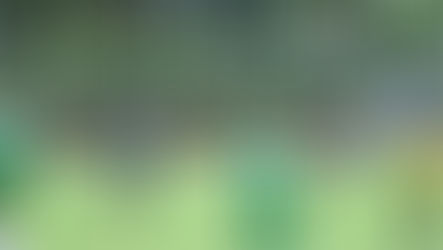 4:1 Erfolg zum Saisonauftakt