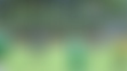 4:1 Erfolg zum Saisonauftakt