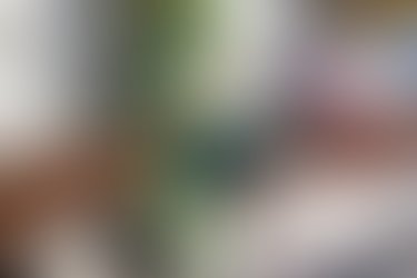 Strategic Review for Sustainable Growth