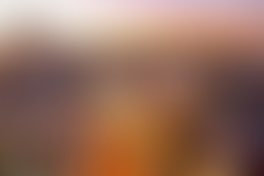 Remaining Selective in Search for Quality Growth