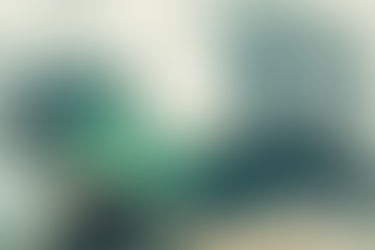 Energy and Efficiency as a Service