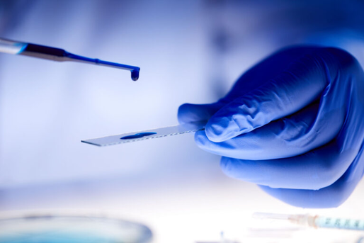 FDA Accepts New Drug Application for Ceftobiprole