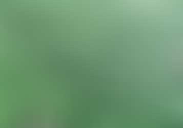 13% Growth Despite Supply Chain Constraints