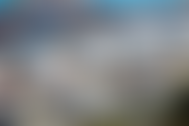 A Good Quarter, but Softer Margins Expected in Q3