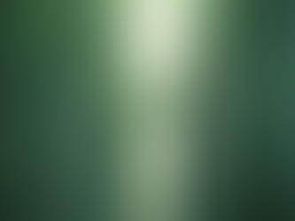 Portfolio Growth Ahead of Budget