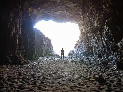 Where is the Growth?