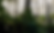 Garden In a Pot (2025)