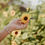Thumbnail: Summer Fun Bracelet