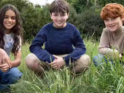 HBO Confirms Harry, Ron, and Hermione Cast for New Harry Potter Series