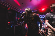 Casketfeeder live in Cambridge