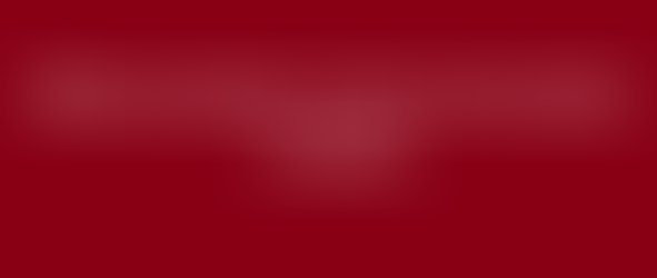 What is nonnative translator; language translation services