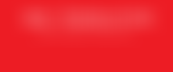 What is incompetent linguist; language translation services