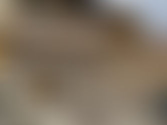 West Wall Rebuild in Progress