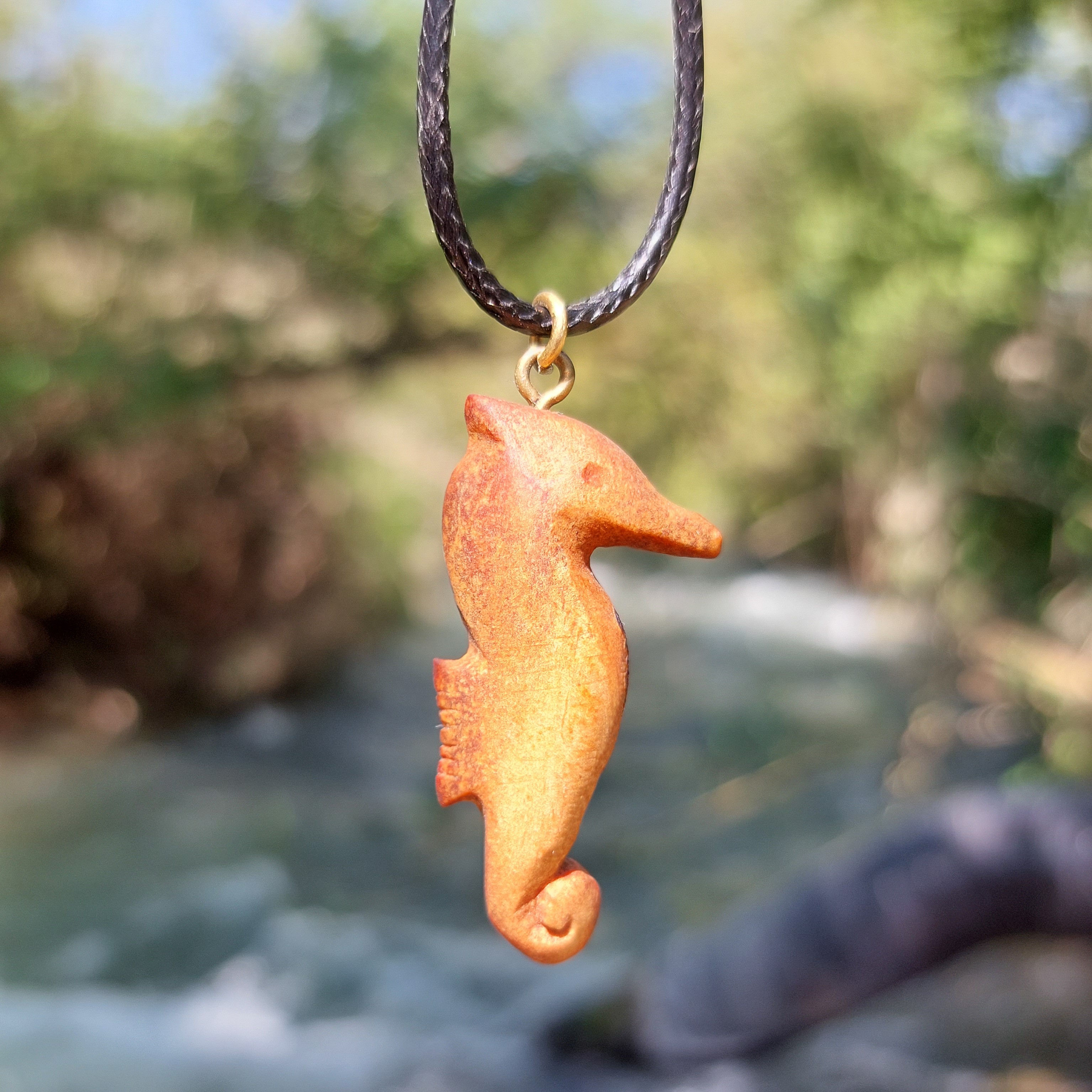 Avocado seed Sea horse