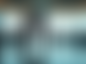 Discover the Benefits of Employing the Services of the International Chaperone