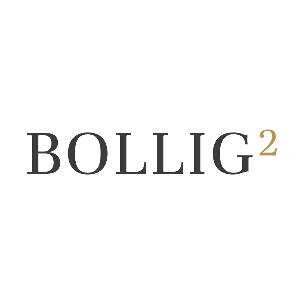 Logo Bollig2 Partner