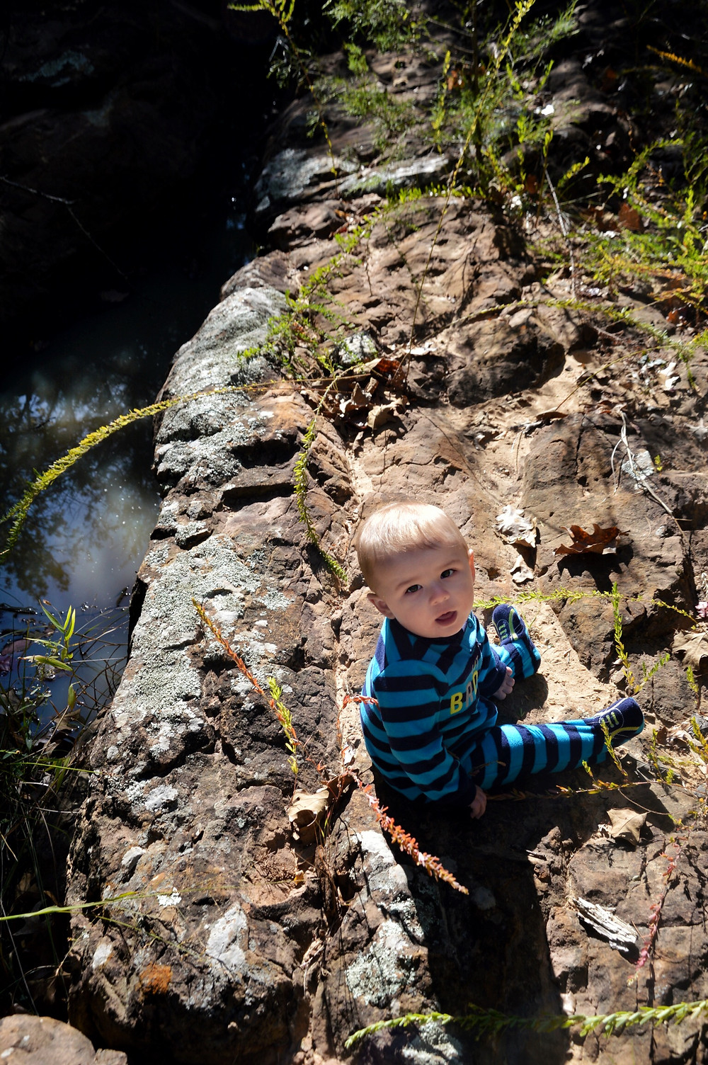 Landry, relaxing near the creek at Royal Roost Farm