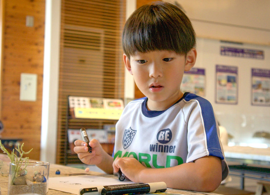 33540934_m (1)_edited.jpg