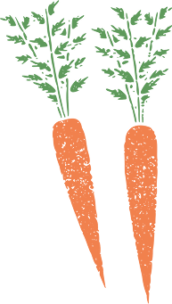 carrot 1.png