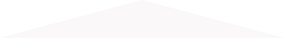 Polygon 2 (1).png