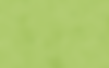 bg.png