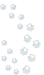 edited-image (6).png