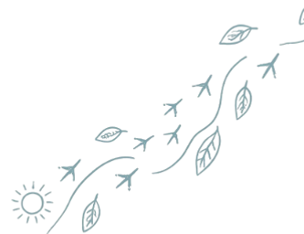edited-image (5).png