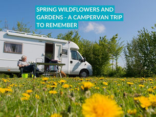 Spring Wildflowers and Gardens in Ireland